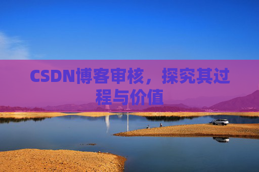 CSDN博客审核，探究其过程与价值